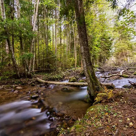 Amelia Tale, 10 Min To Chopok Jasna, Tale, Myto Lägenhet *