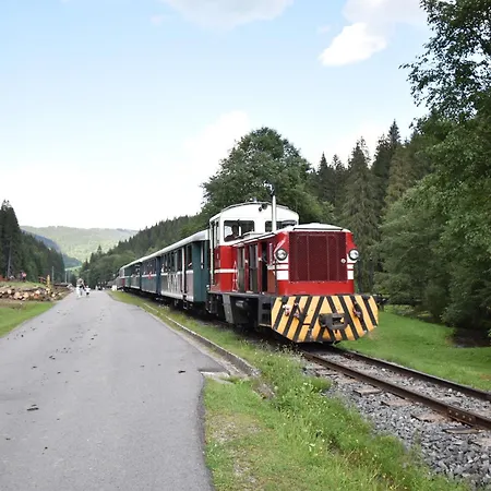 Amelia Tale, 10 Min To Chopok Jasna, Tale, Myto