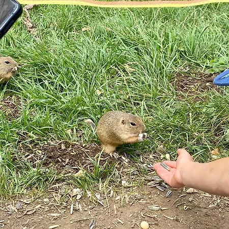 Amelia Tale, 10 Min To Chopok Jasna, Tale, Myto Horná Lehota