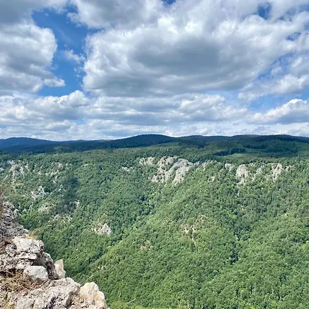 Lägenhet Amelia Tale, 10 Min To Chopok Jasna, Tale, Myto