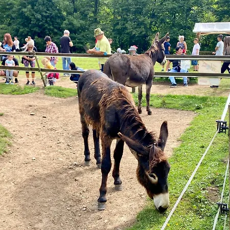 Amelia Tale, 10 Min To Chopok Jasna, Tale, Myto Lägenhet *