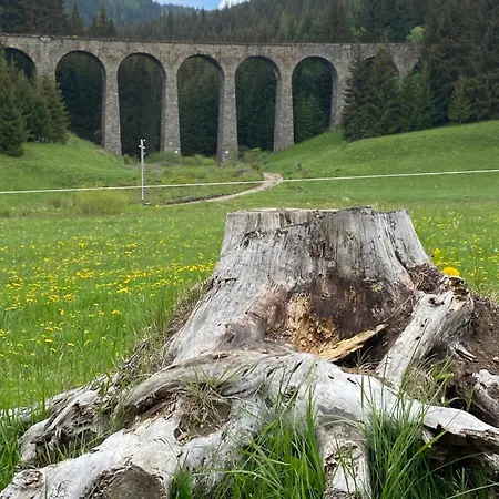 Lägenhet Amelia Tale, 10 Min To Chopok Jasna, Tale, Myto *