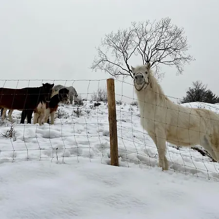 Amelia Tale, 10 Min To Chopok Jasna, Tale, Myto Lejlighed Horná Lehota